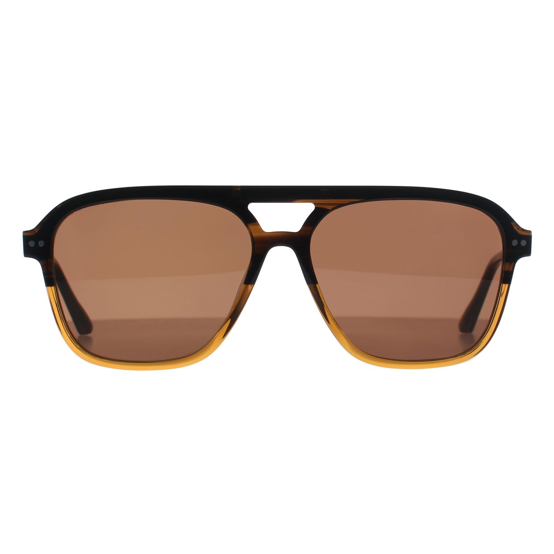 Ted Baker Aviator Brown Horn Gradient Brown TB8259