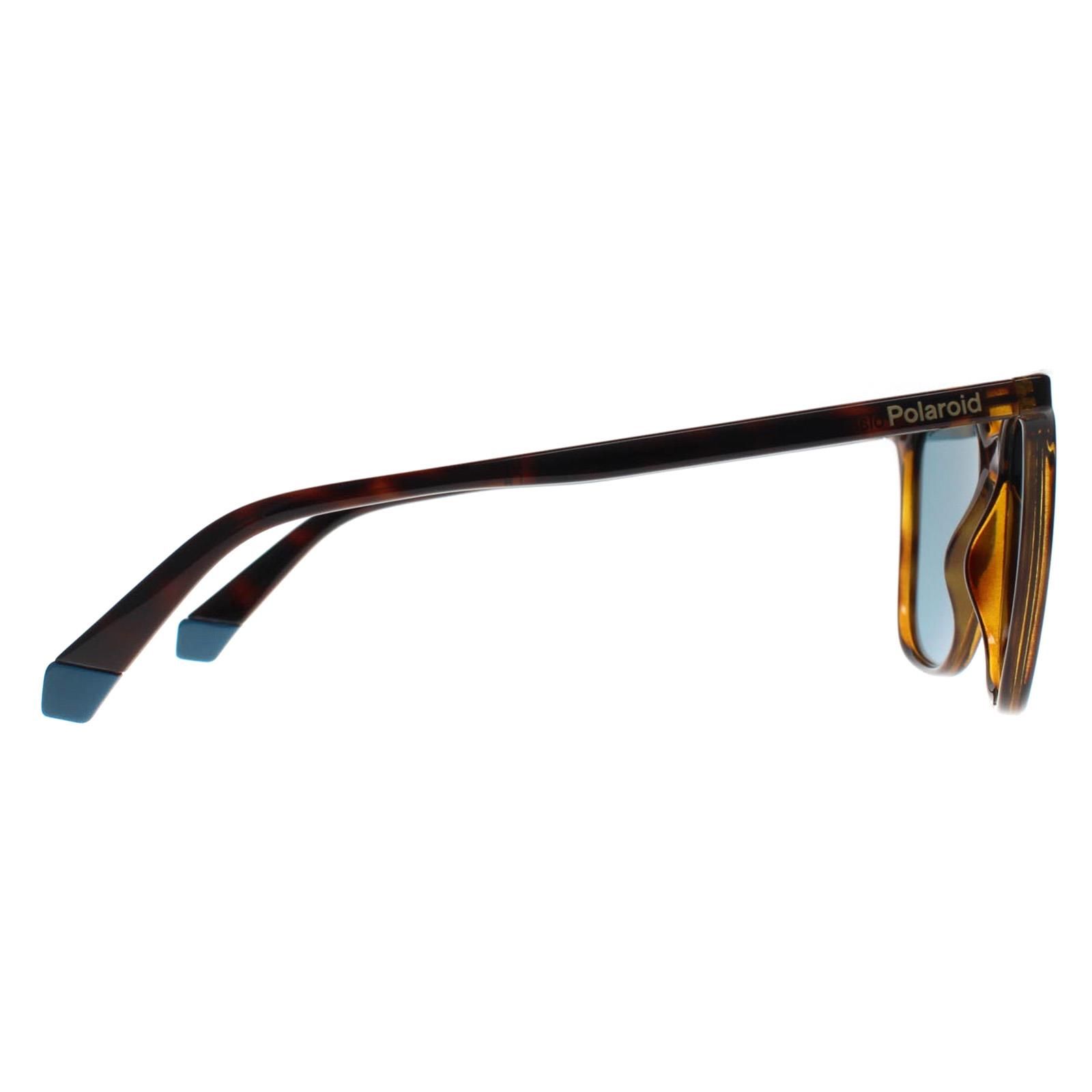 Polaroid Square Havana Blue Polarized PLD 6226/S image 4