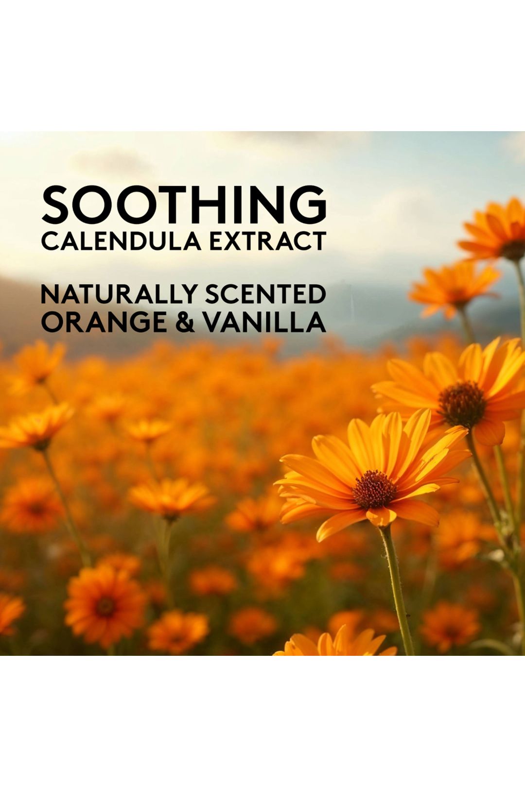 Delhicious Migh-Tea Moisture Body Oil Spray 75ml Multi image 4