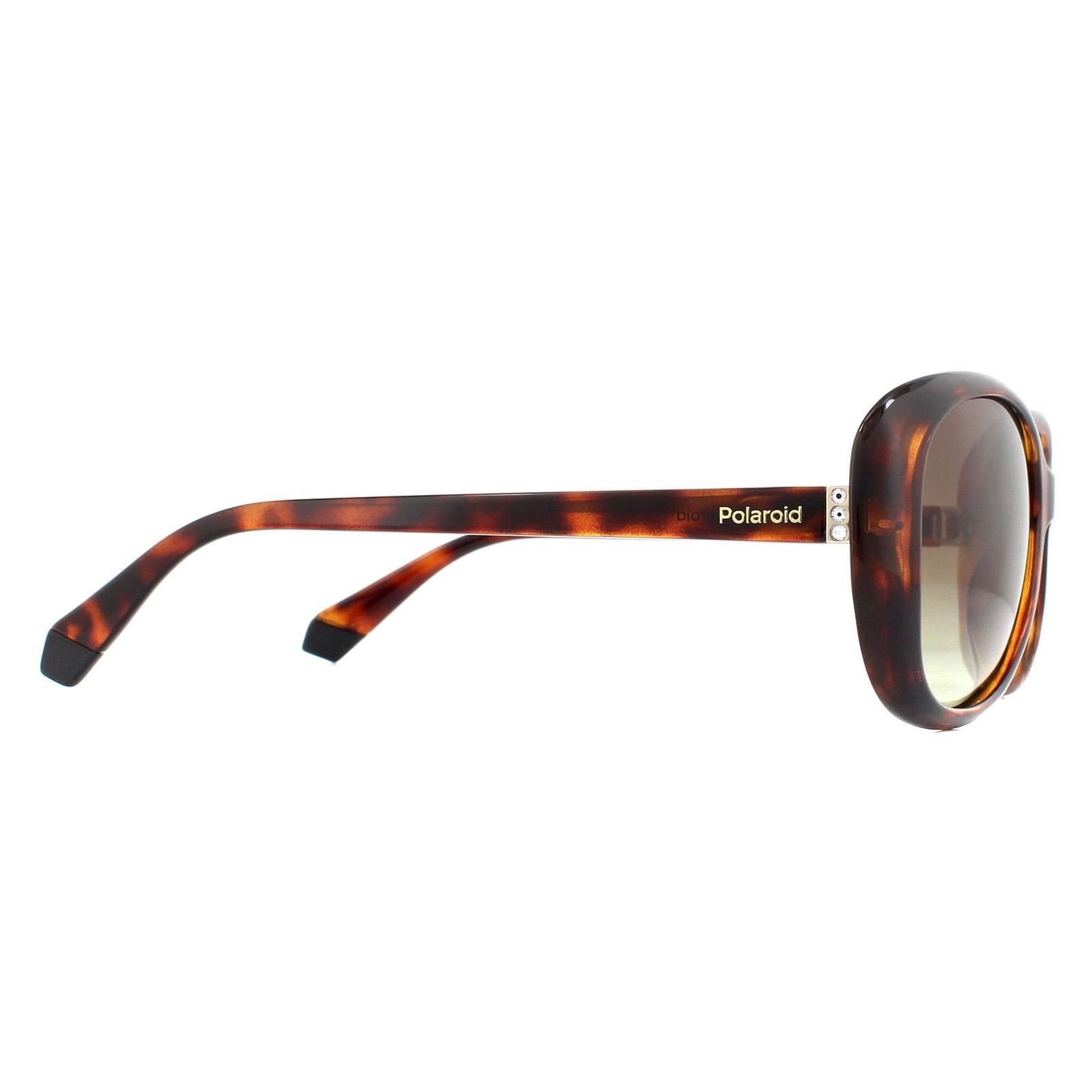 Polaroid Fashion Havana Brown Gradient Polarized Sunglasses image 4