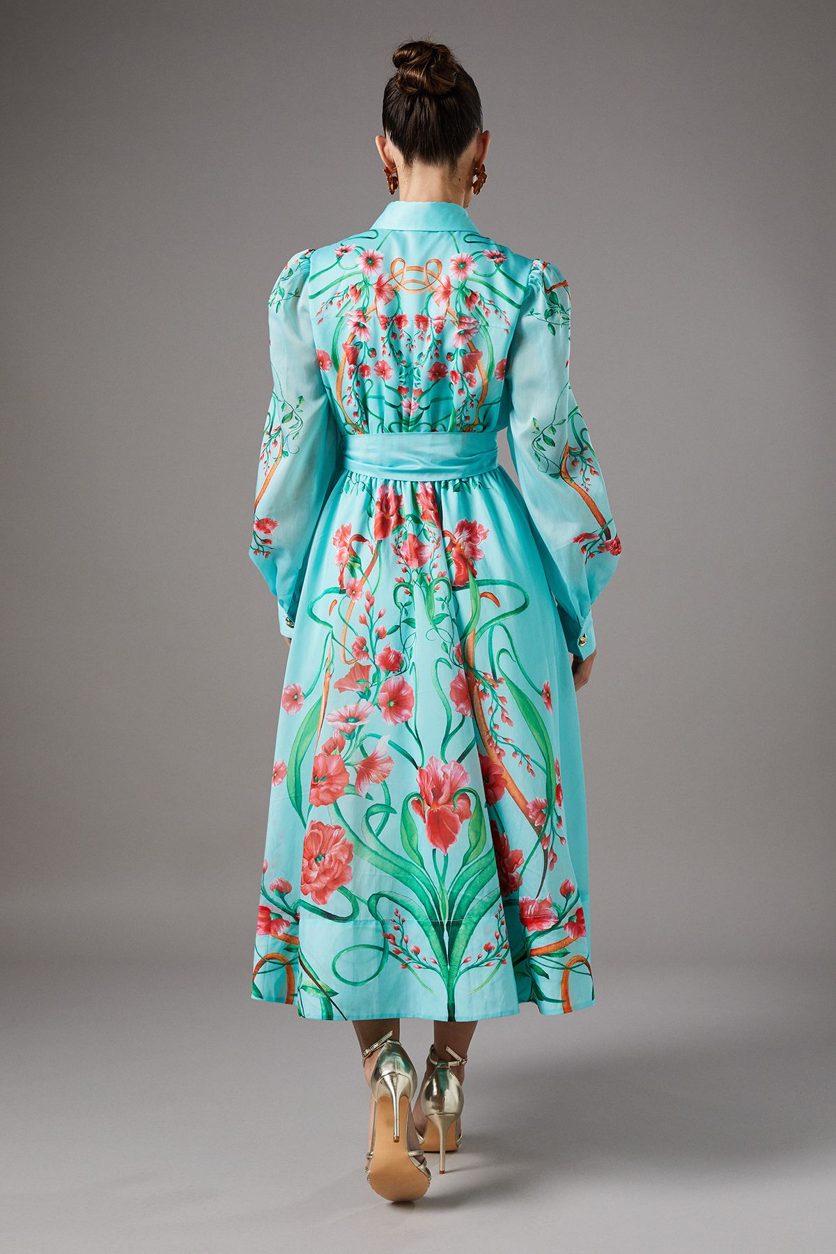 Coast Boarder Print Organza Shirt Dress Mint image 4