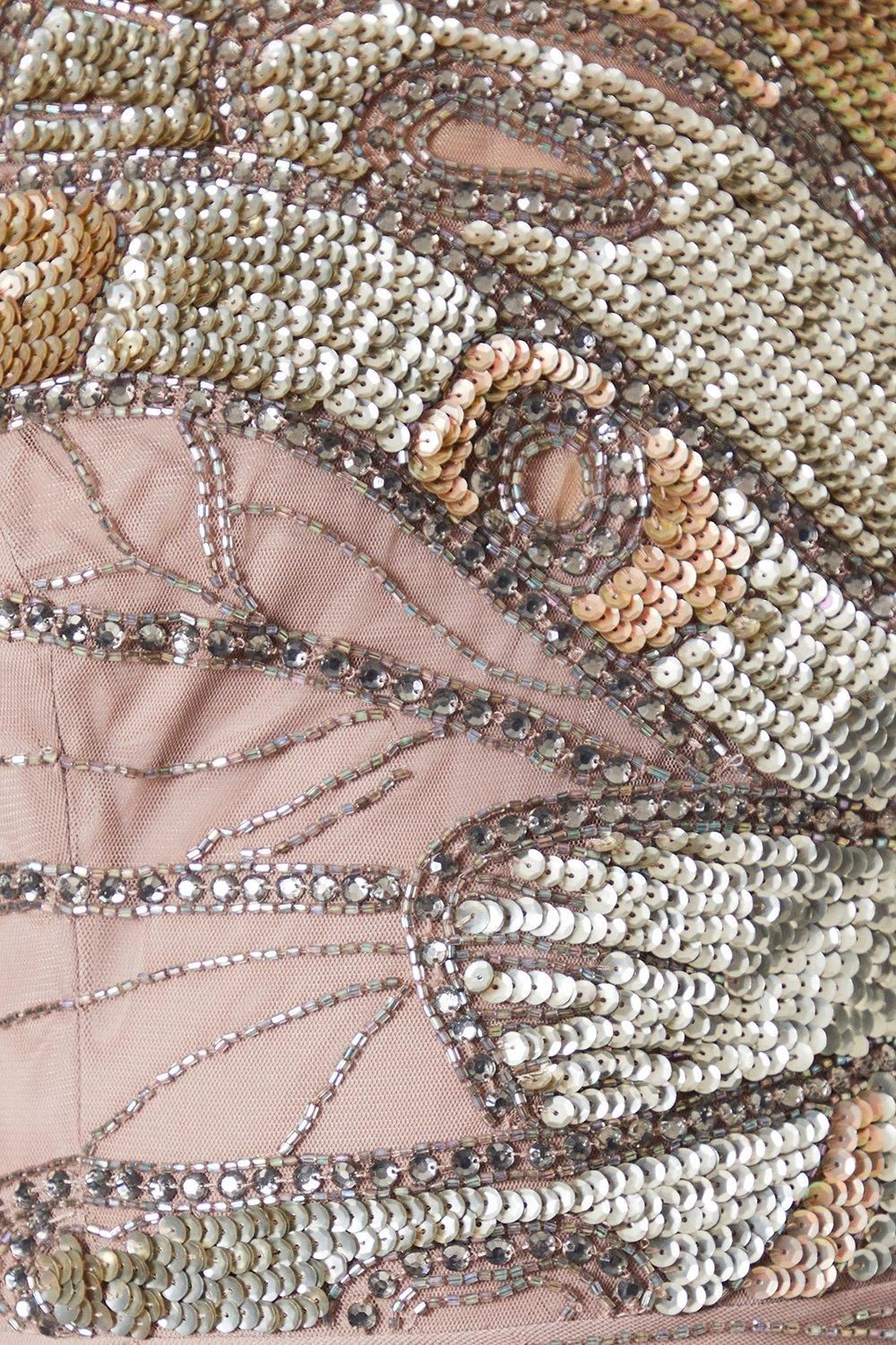 Coast Premium Hand Embellished Maxi Dress Blush image 5