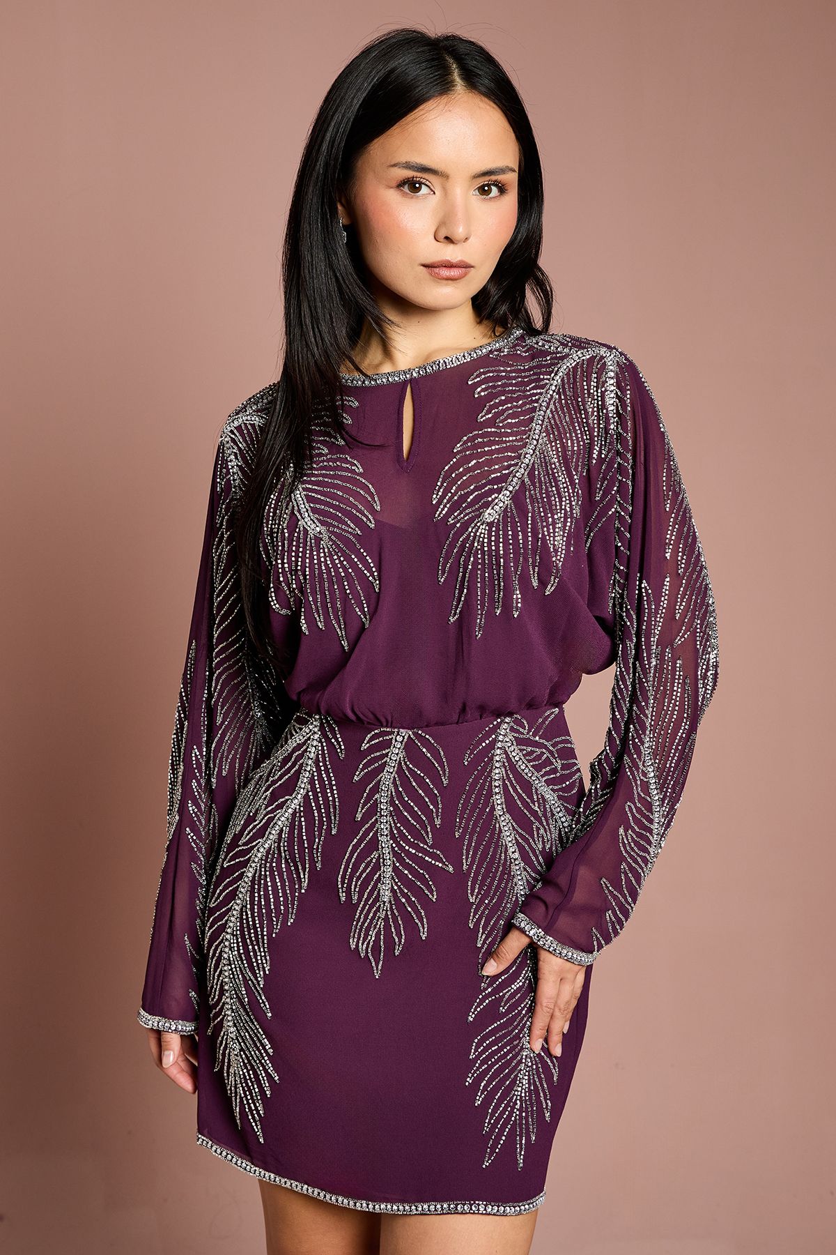 Coast Petite Long Sleeve Placement Feather Embellished Mini Dress Red image 1