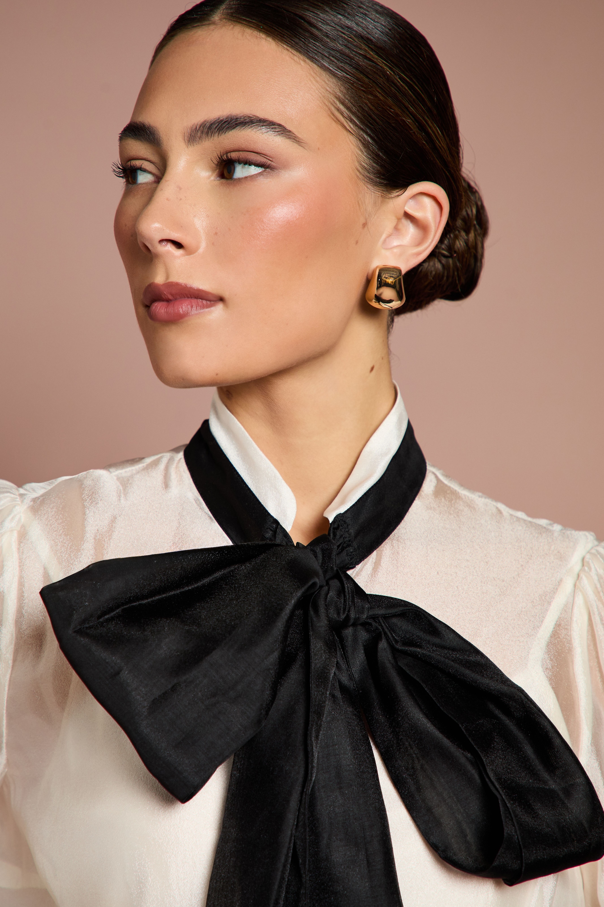 Coast Lisa Tan Pussybow Long Sleeve Organza Shirt Mono image 2