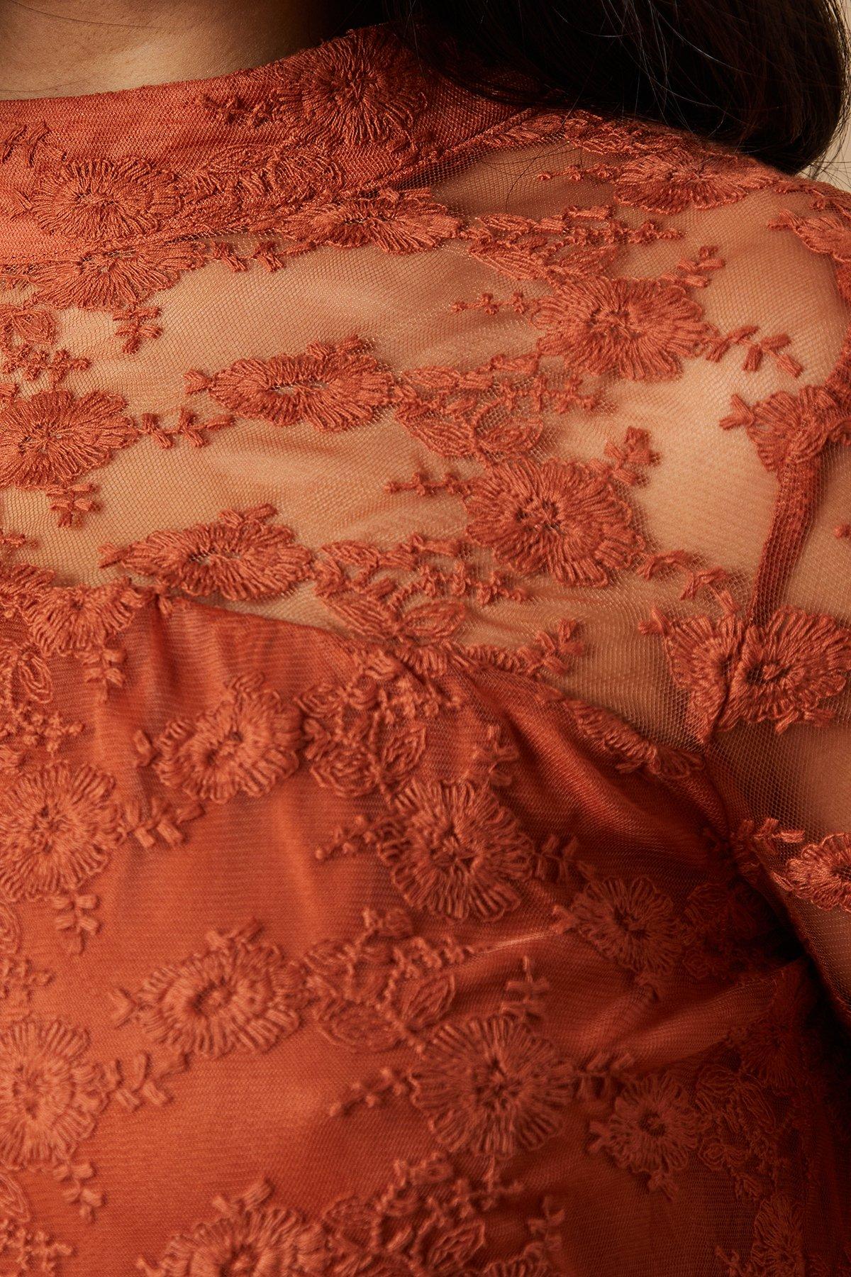 Warehouse Embroidered Mesh High Neck Tier Smock Mini Dress Rust image 5