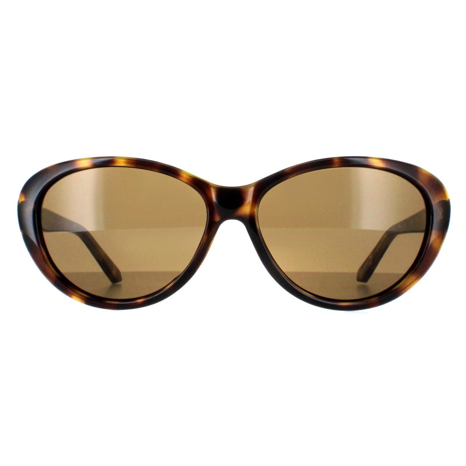 Ted Baker Oval Havana Brown Gradient TB1315 Cougar image 1