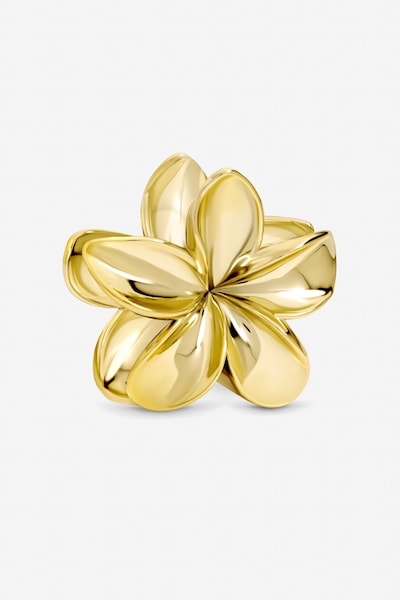 Mood Gold Floral Claw Clip