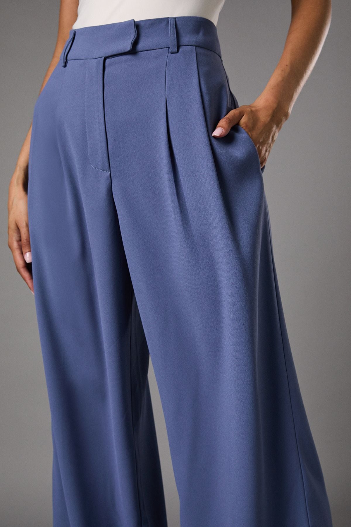 Coast Pleat Front Wide Leg Trouser Blue image 5