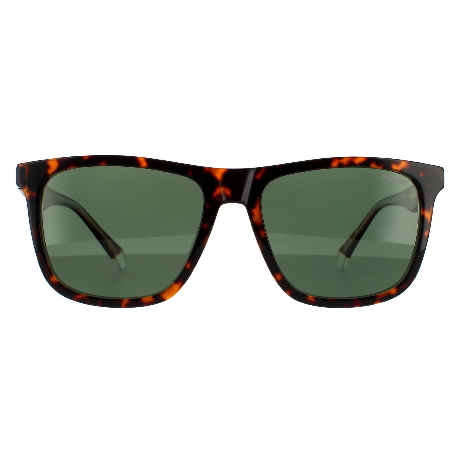 Polaroid Square Havana Green Polarized Sunglasses image 1
