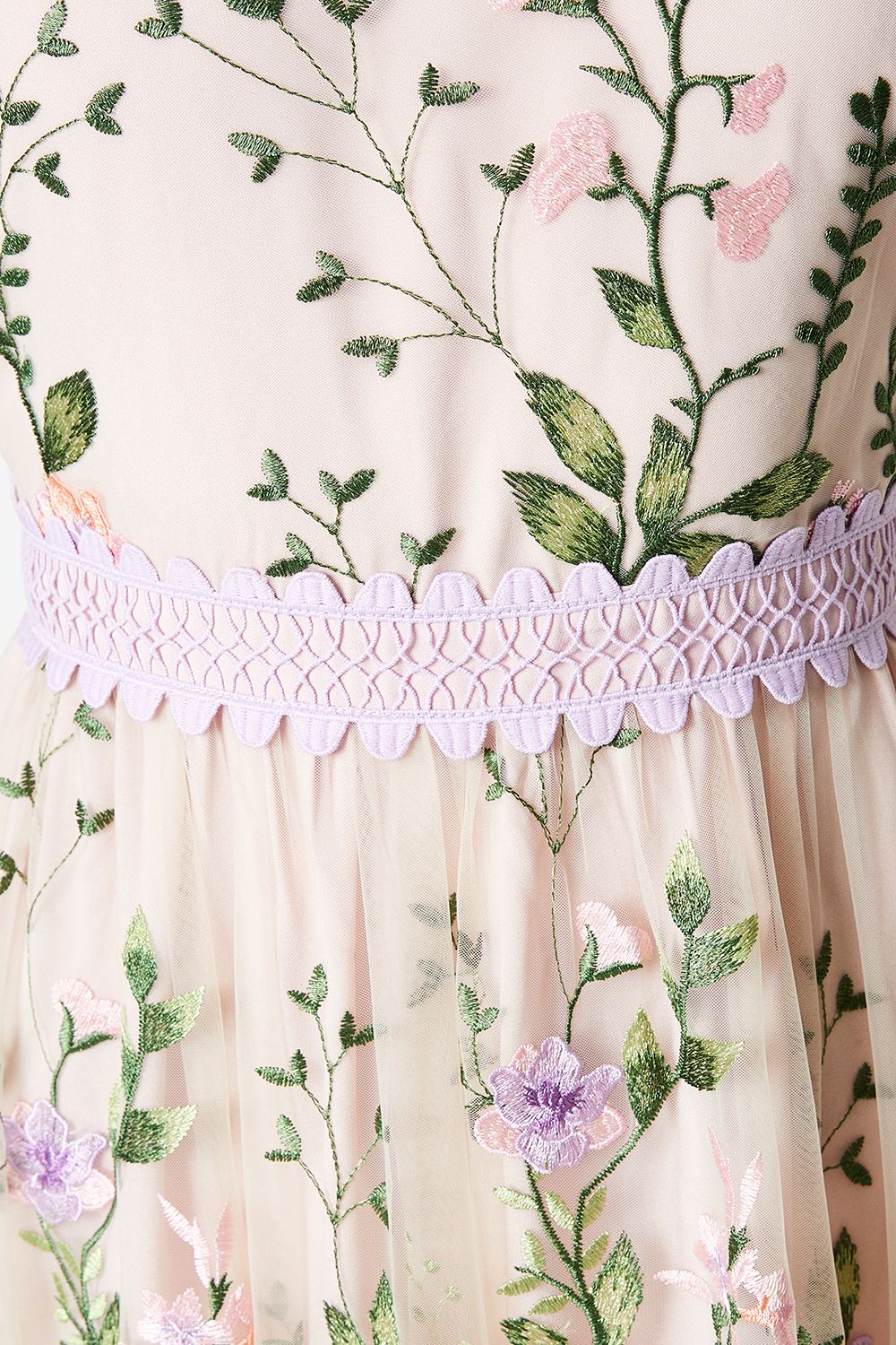 Coast Lace Trim Detail Embroidered Mesh Midi Dress Blush image 5