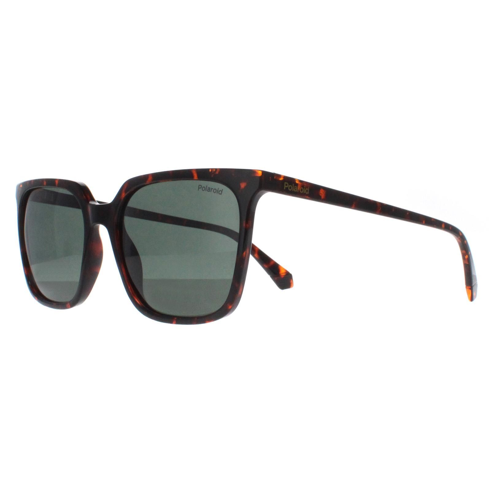 Polaroid Square Havana Green Polarized PLD 4163/S image 2