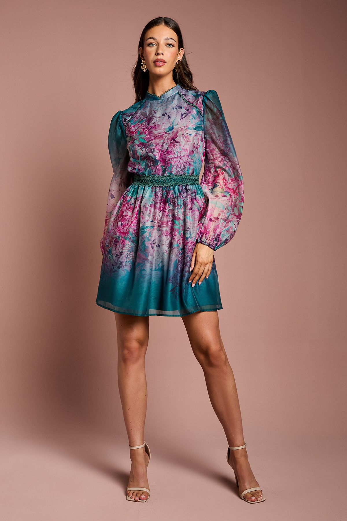 Coast Long Sleeve Organza Mini Dress With Floral Print Teal