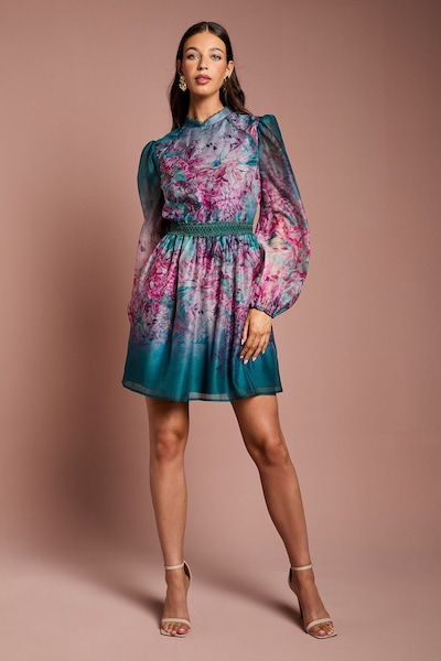 Coast Long Sleeve Organza Mini Dress With Floral Print Teal