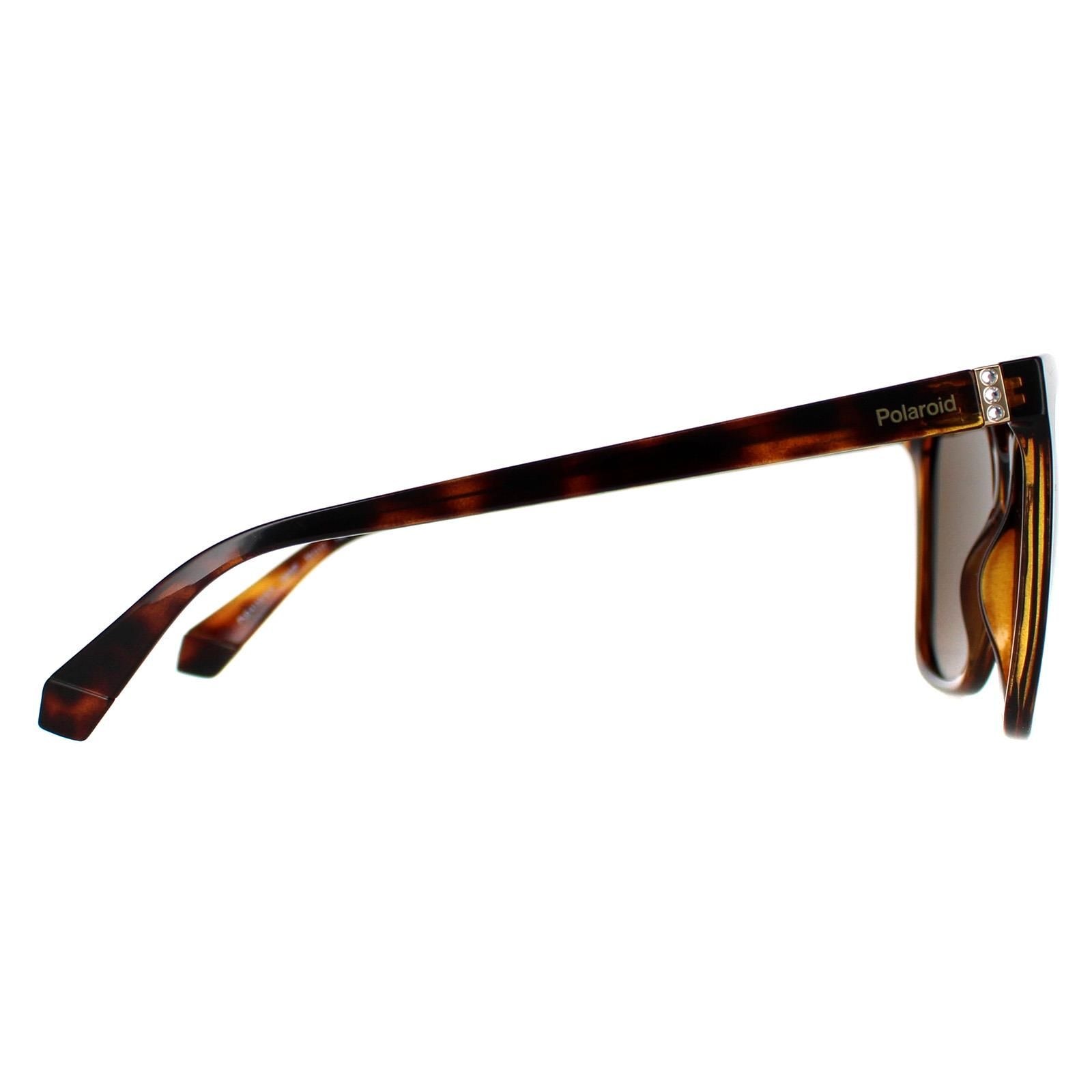 Polaroid Square Havana Bronze Polarized PLD 4155/S/X image 4