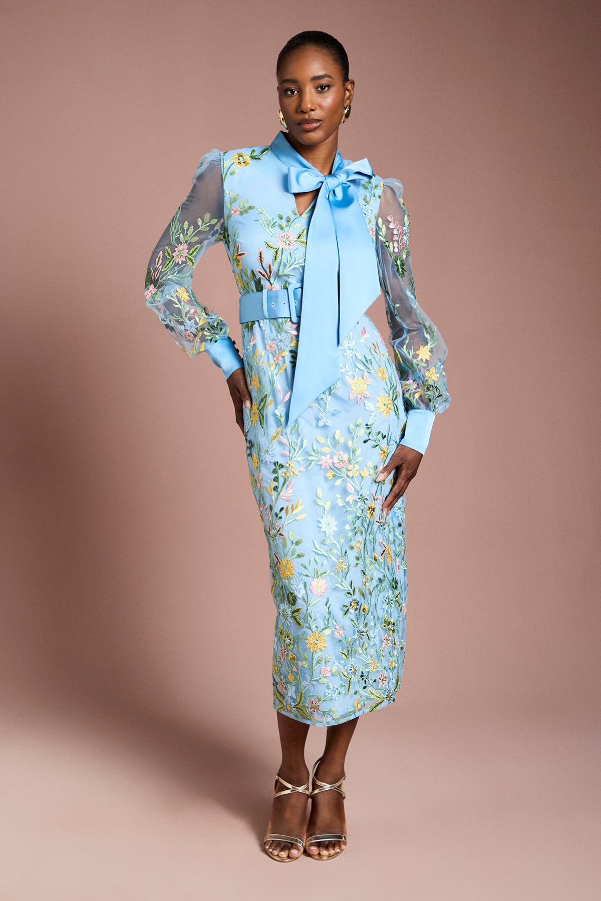 Coast Embroidered Mesh Pussybow Midi Dress Blue image 1