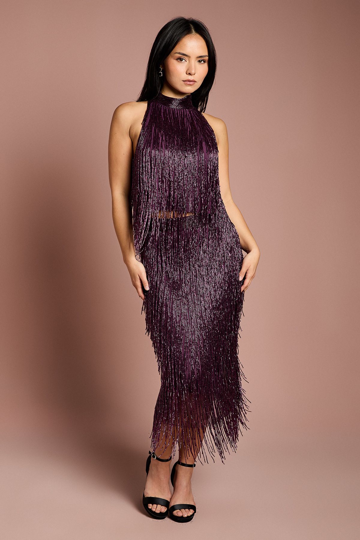Coast Petite Fringe Embellished Midi Skirt Plum image 1