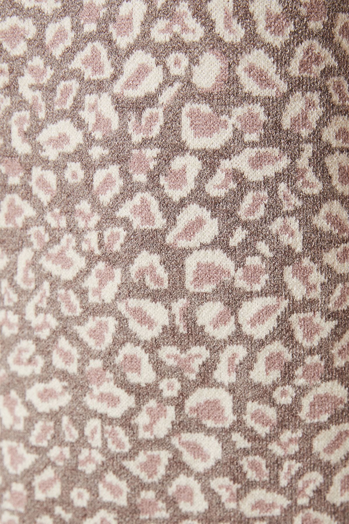 Oasis Leopard Print Mini Dress Multi image 5