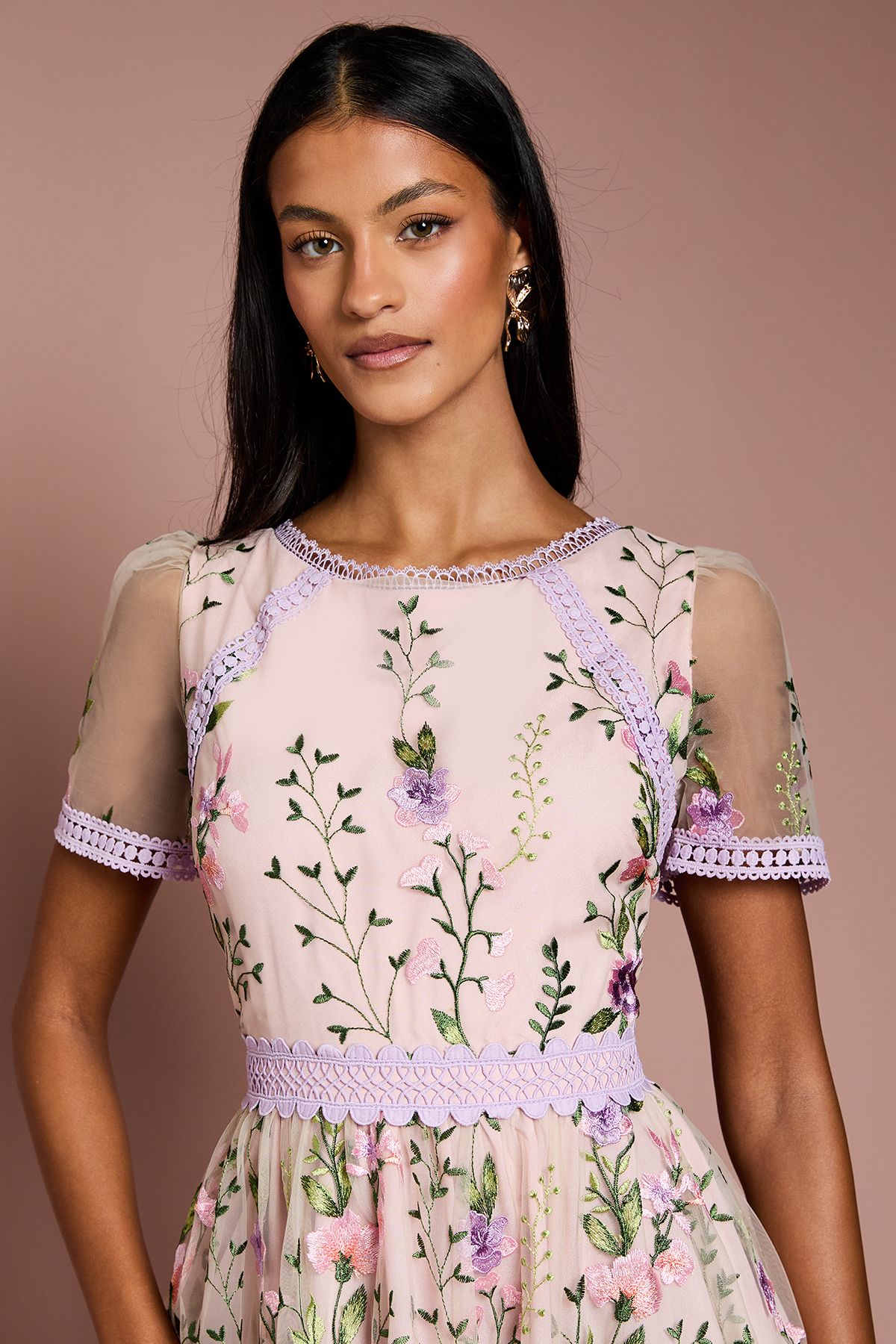 Coast Petite Lace Trim Detail Embroidered Mesh Midi Dress Blush image 4