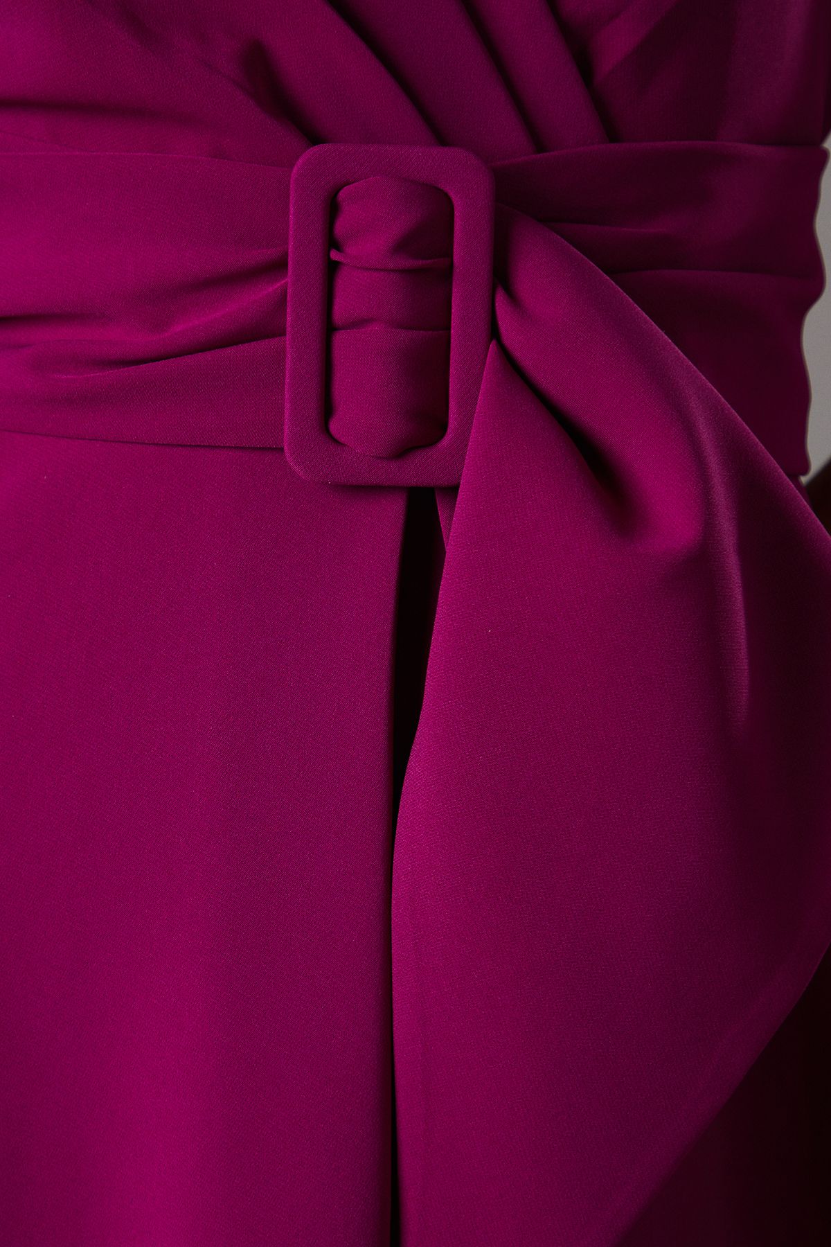 Coast Belted Crepe Dress Berry image 5