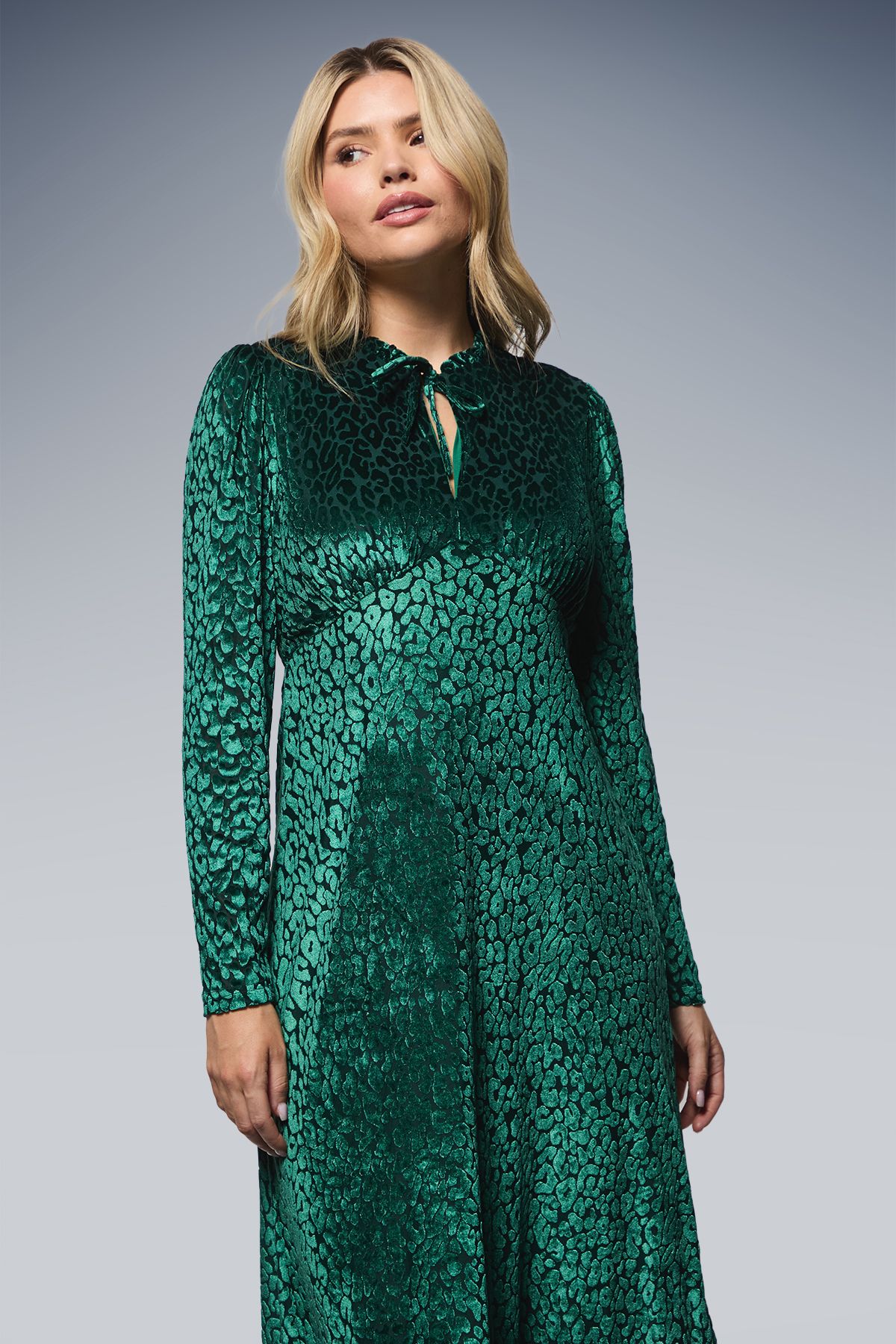 Dorothy Perkins Leopard Burnout Long Sleeve Midi Dress Green image 2