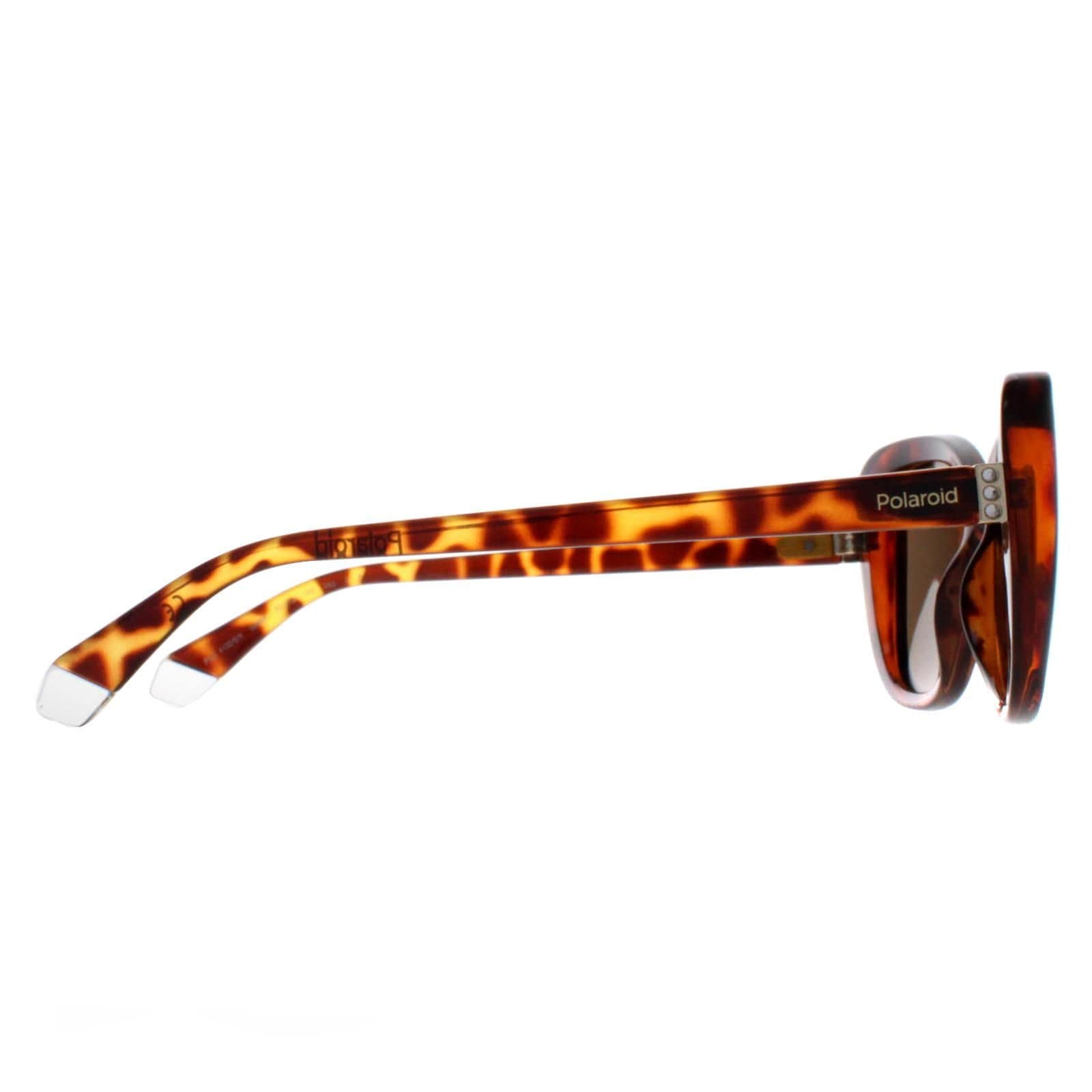 Polaroid Butterfly Havana Bronze Polarized PLD 4132/S image 4