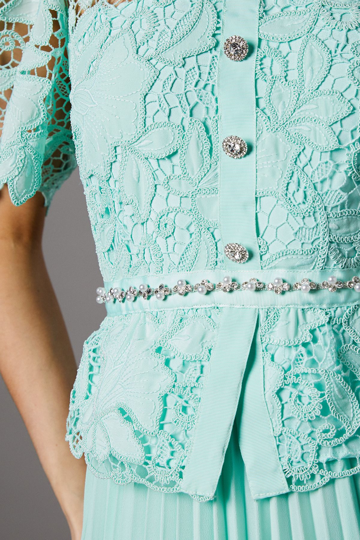 Coast Lace Top Pleat Skirt Jewel Button Dress Sage image 5