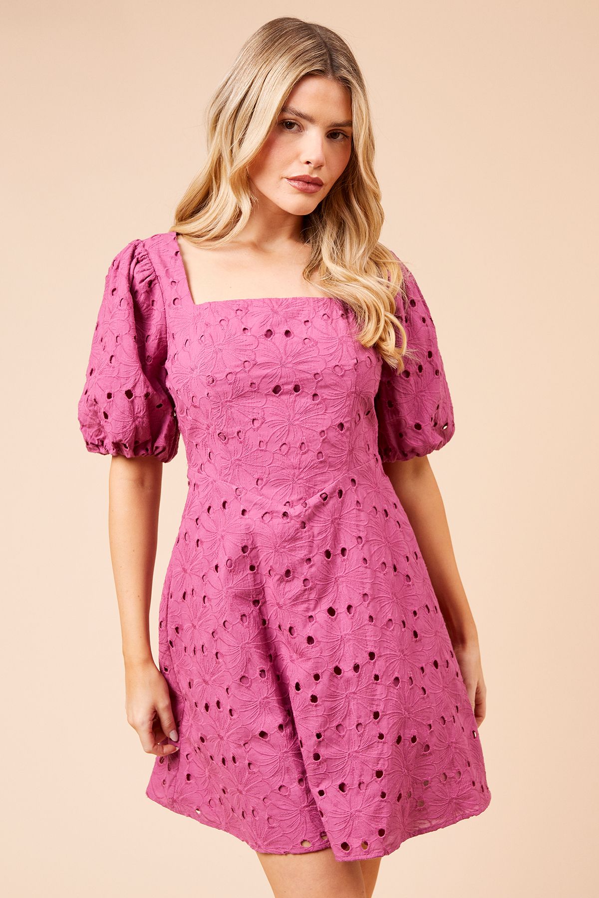 Dorothy Perkins DP Luxe Lace Puff Sleeve Mini Dress Rose image 1