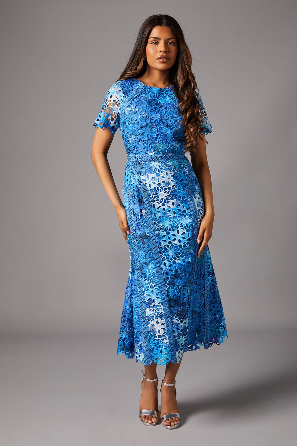 Coast Petite Printed Lace Midi Pencil Dress Blue image 1