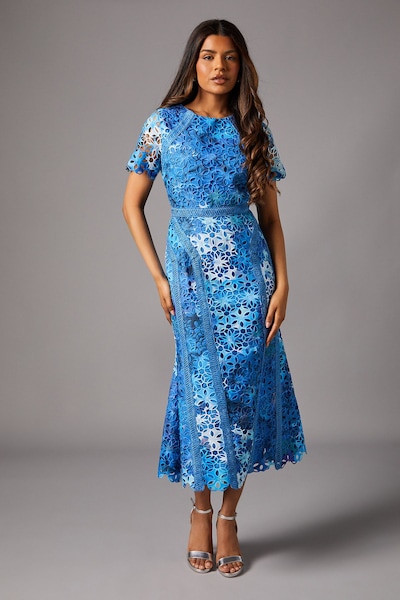 Coast Petite Printed Lace Midi Pencil Dress Blue