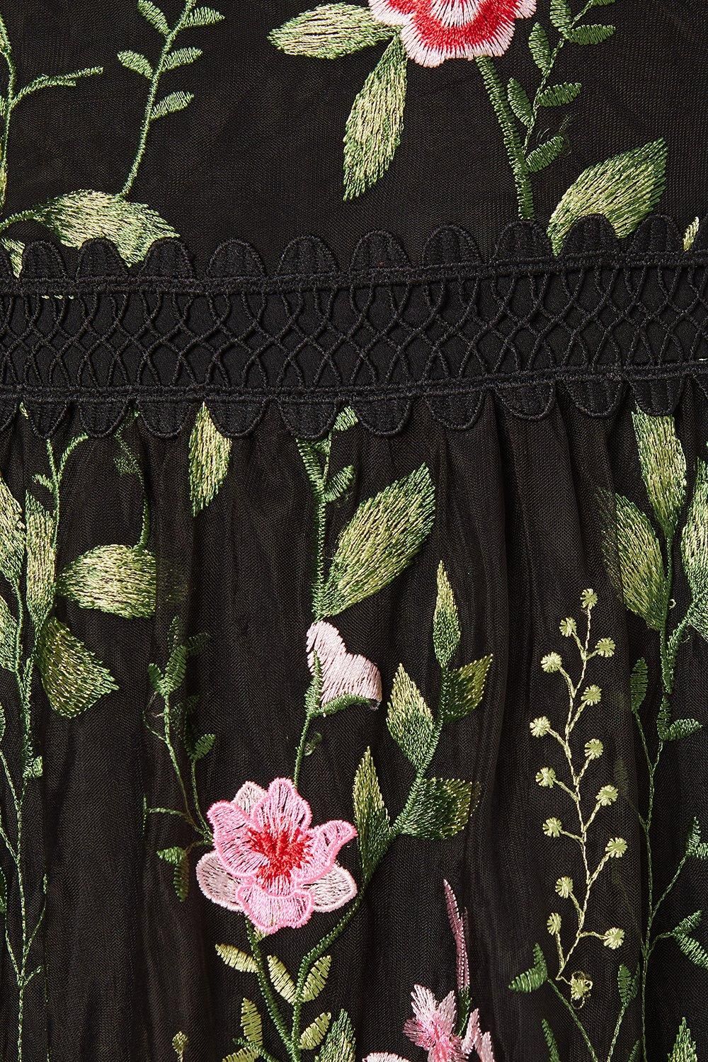 Coast Lace Trim Detail Embroidered Mesh Midi Dress Black image 5