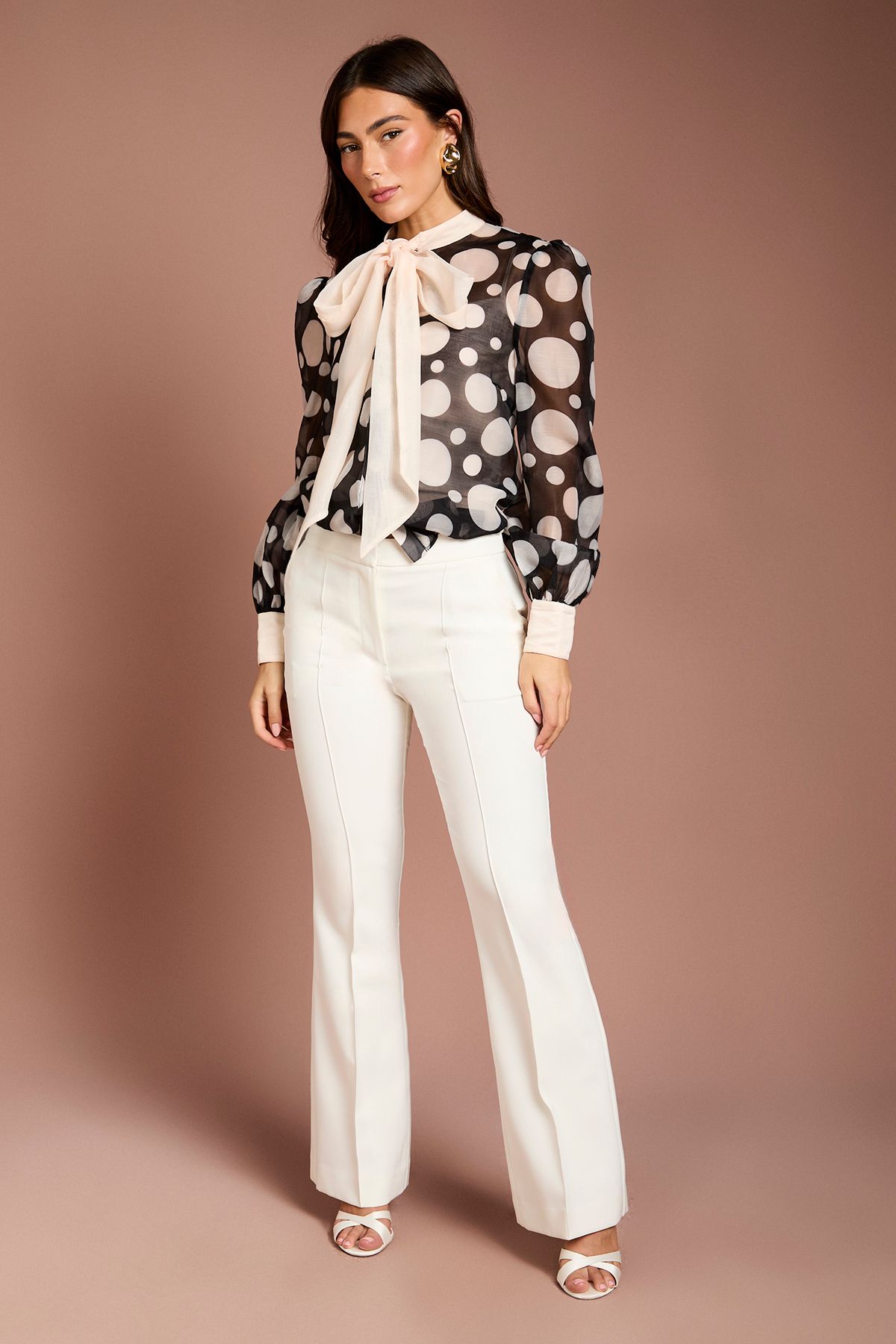 Coast Lisa Tan Bow Neck Blouson Sleeve Spot Print Blouse Mono image 2