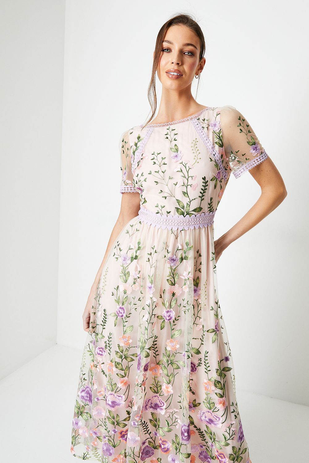 Coast Lace Trim Detail Embroidered Mesh Midi Dress Blush image 2