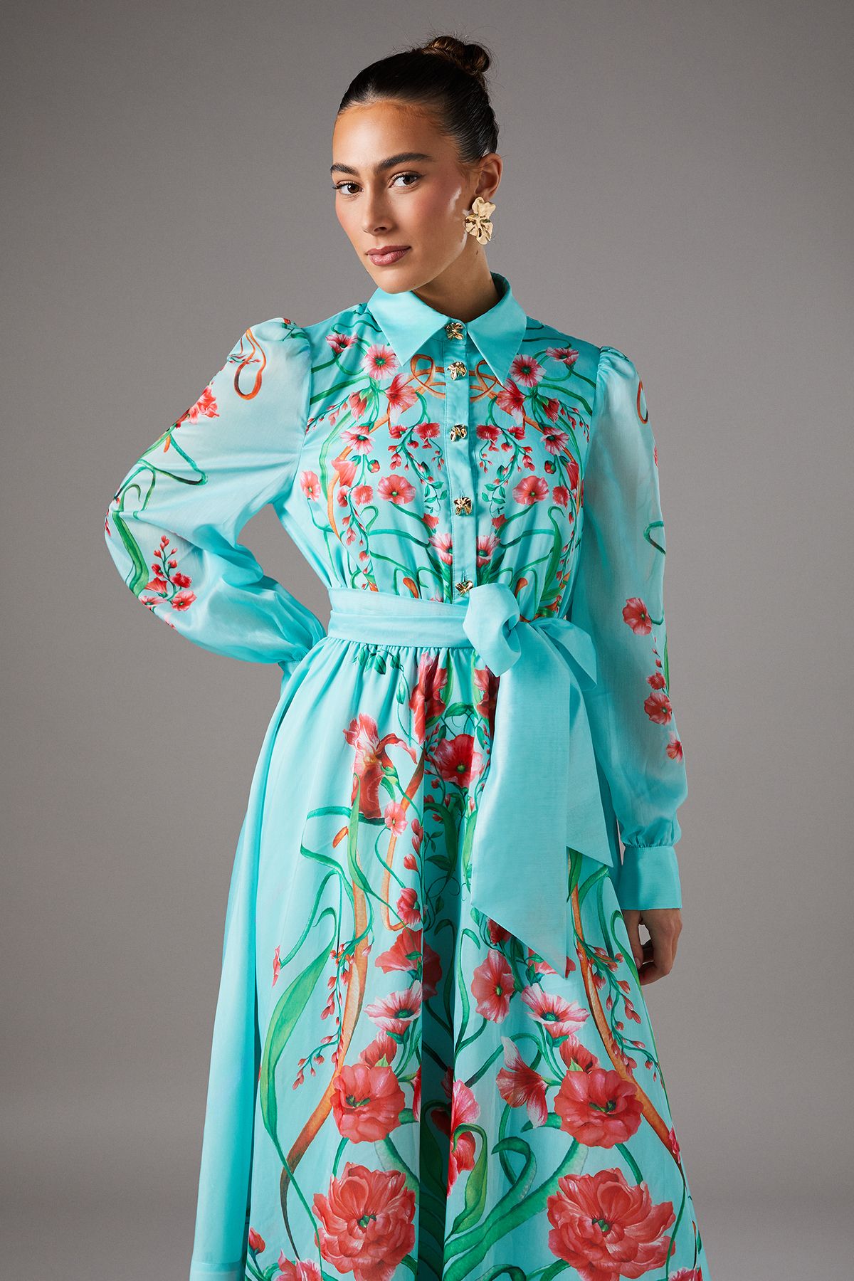 Coast Boarder Print Organza Shirt Dress Mint image 2