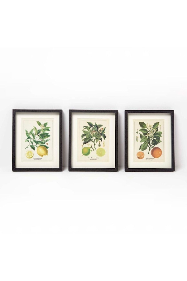 Homescapes Wall Decoration Set of 3 Frames with Picture, Citrus Fruits