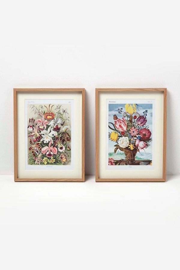 Homescapes Original Wall Decoration Botanical Flowers Set of Decorative Frames
