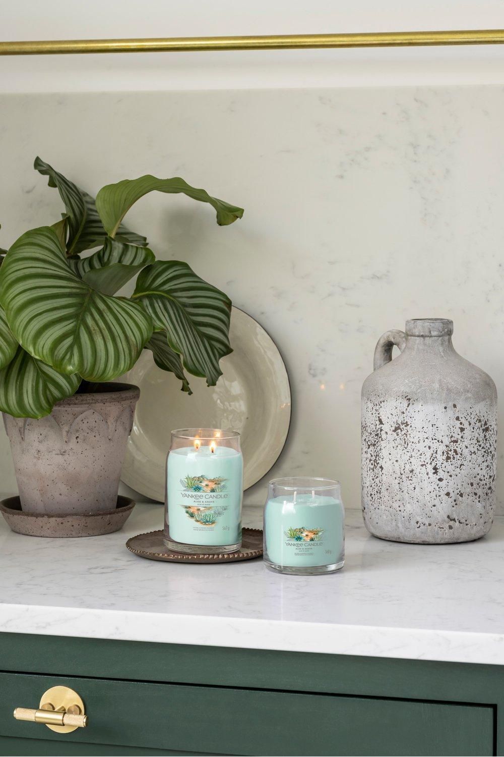 Yankee Candle Signature medium jar aloe & agave Multi image 2