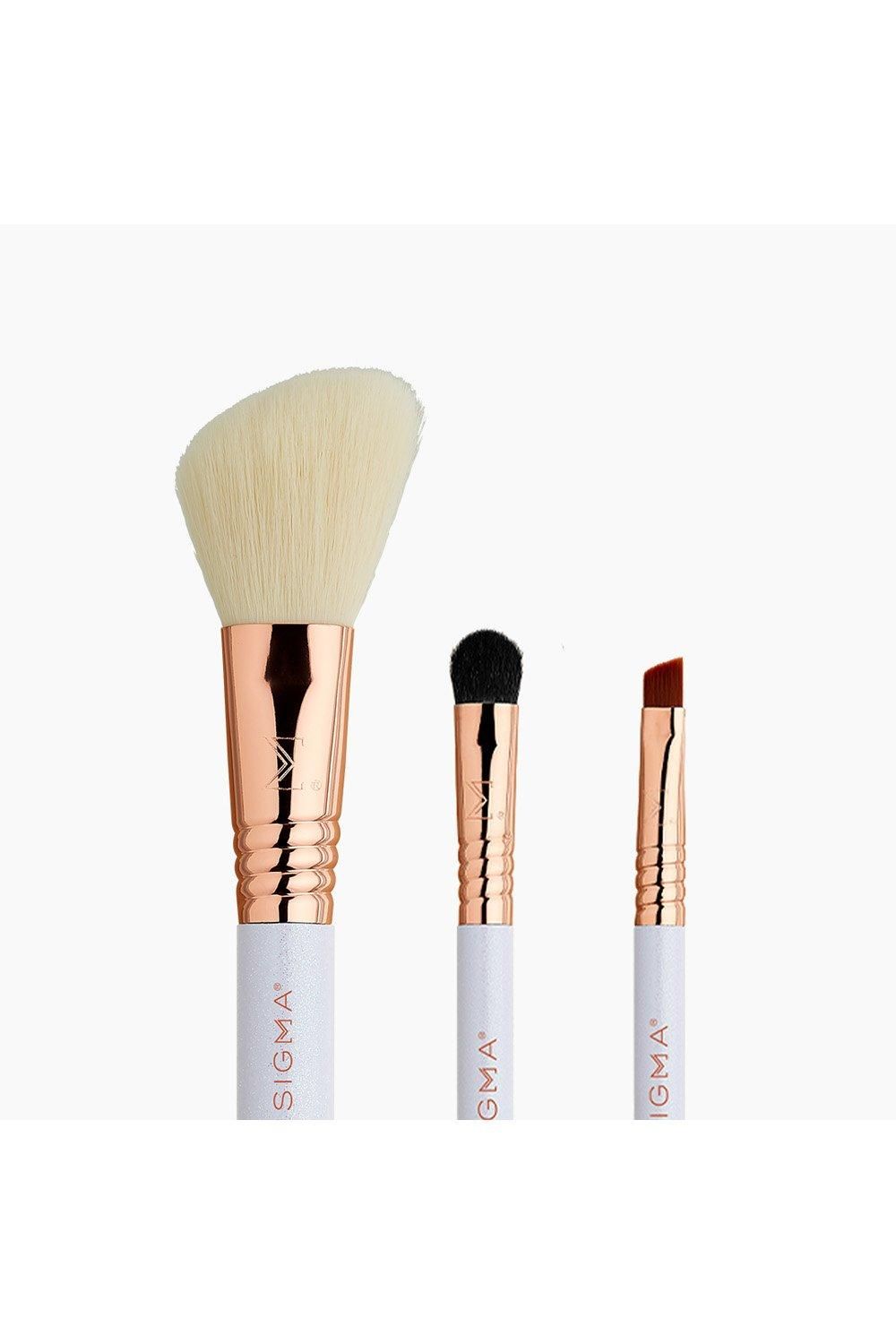 Sigma Sleigh All Day Travel Brush Gift Set Multi image 2