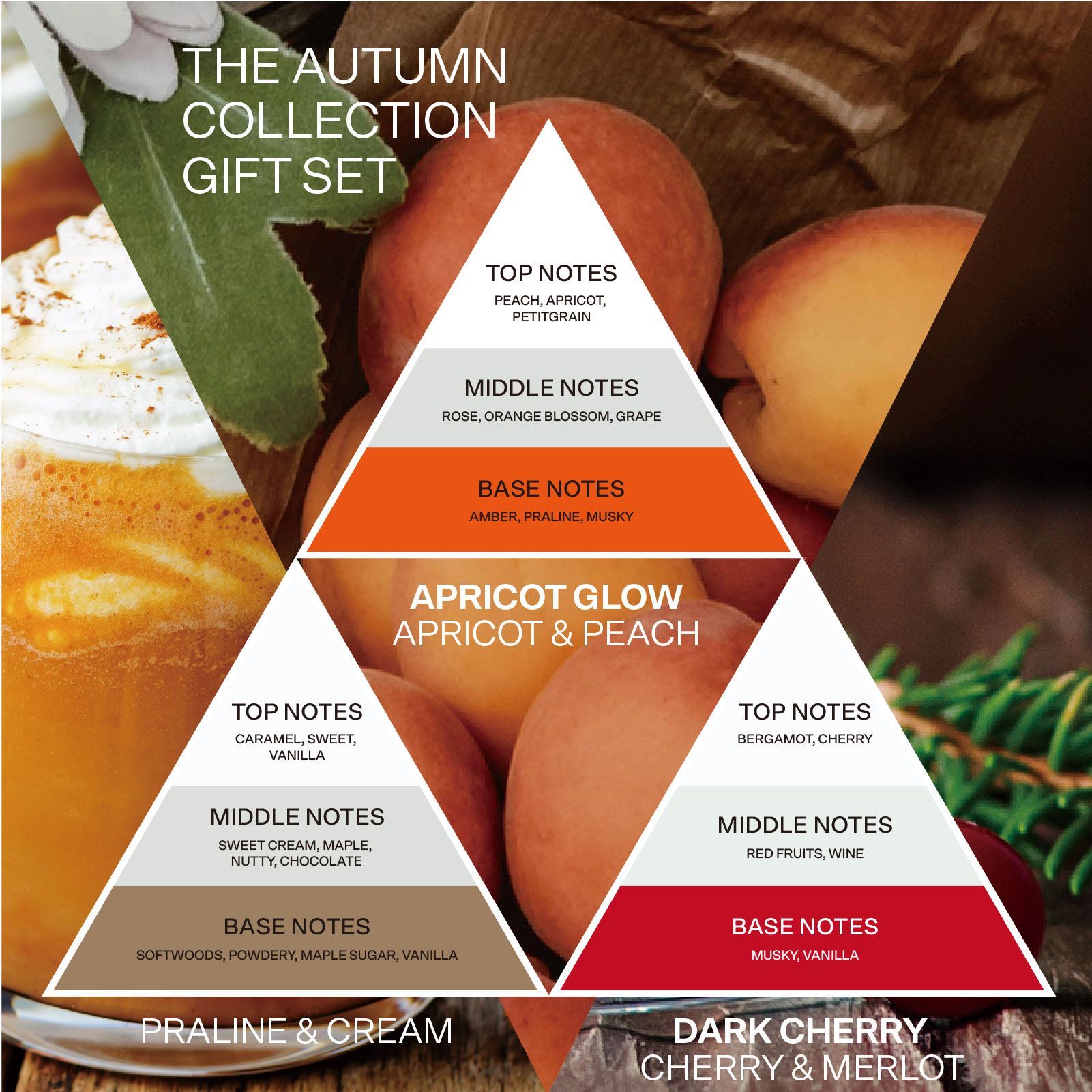 French Connection Trio of Reed Diffusers Gift Set 3x50G Square Design image 3