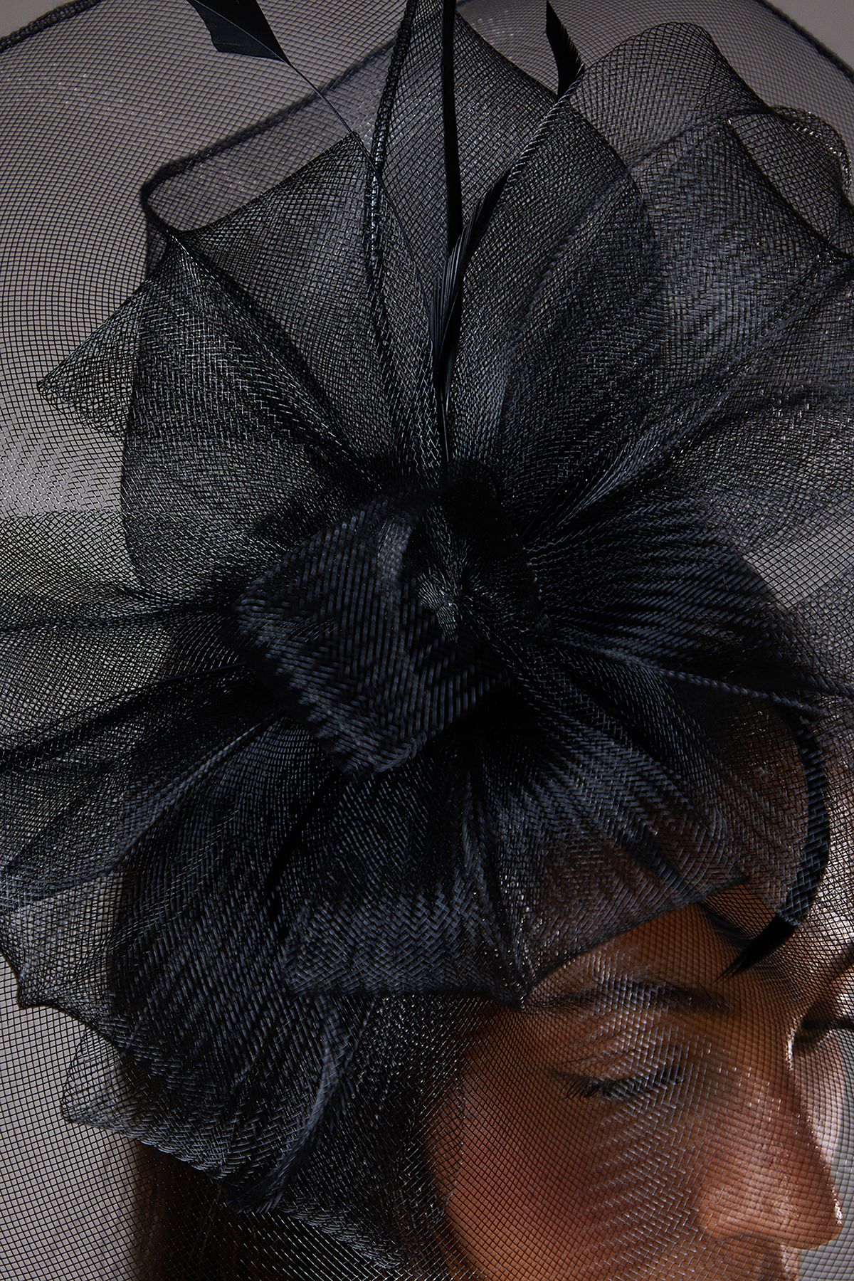 Coast Structured Mesh Bow Flat Fascinator Black image 3