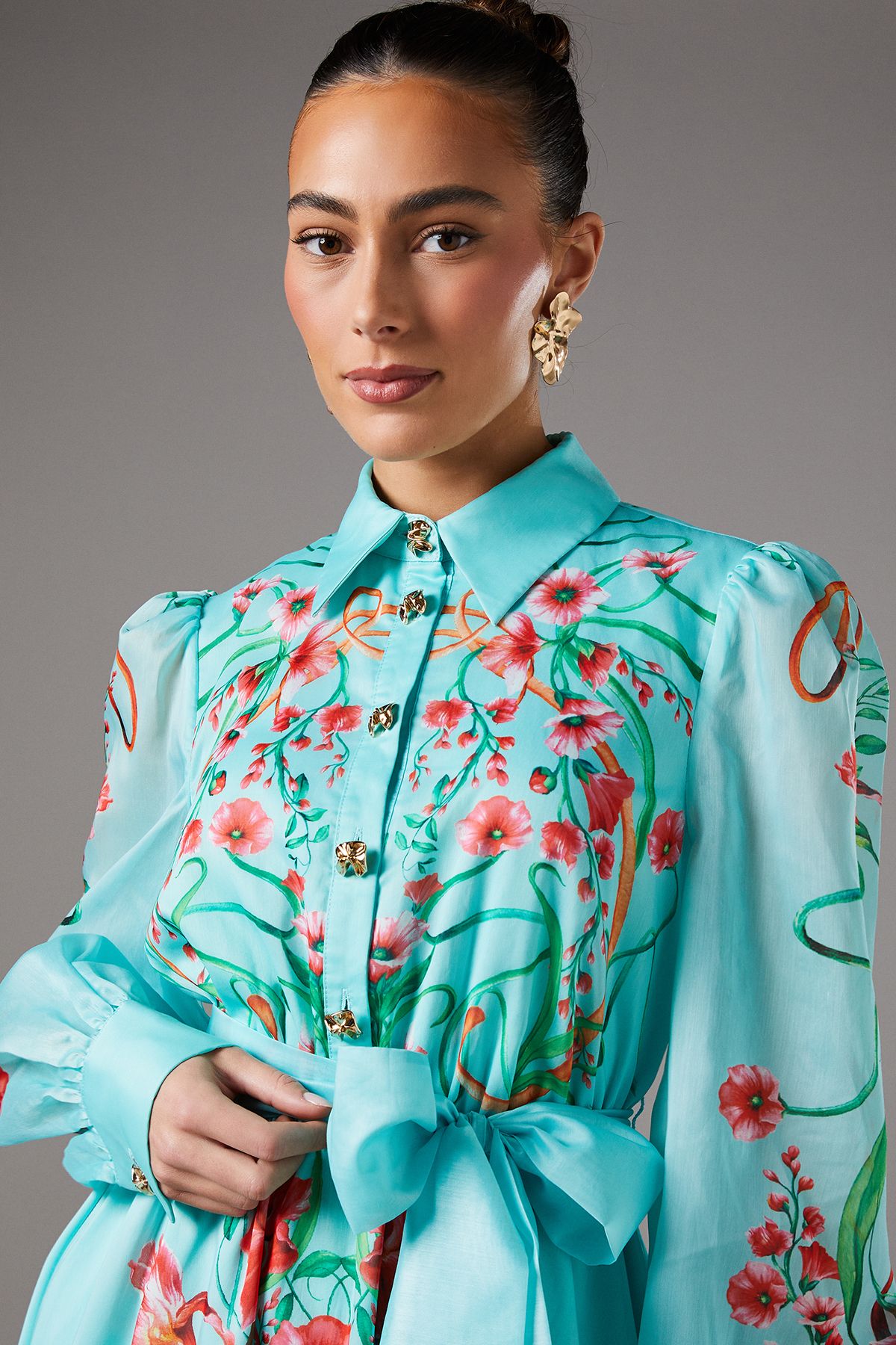 Coast Boarder Print Organza Shirt Dress Mint image 3