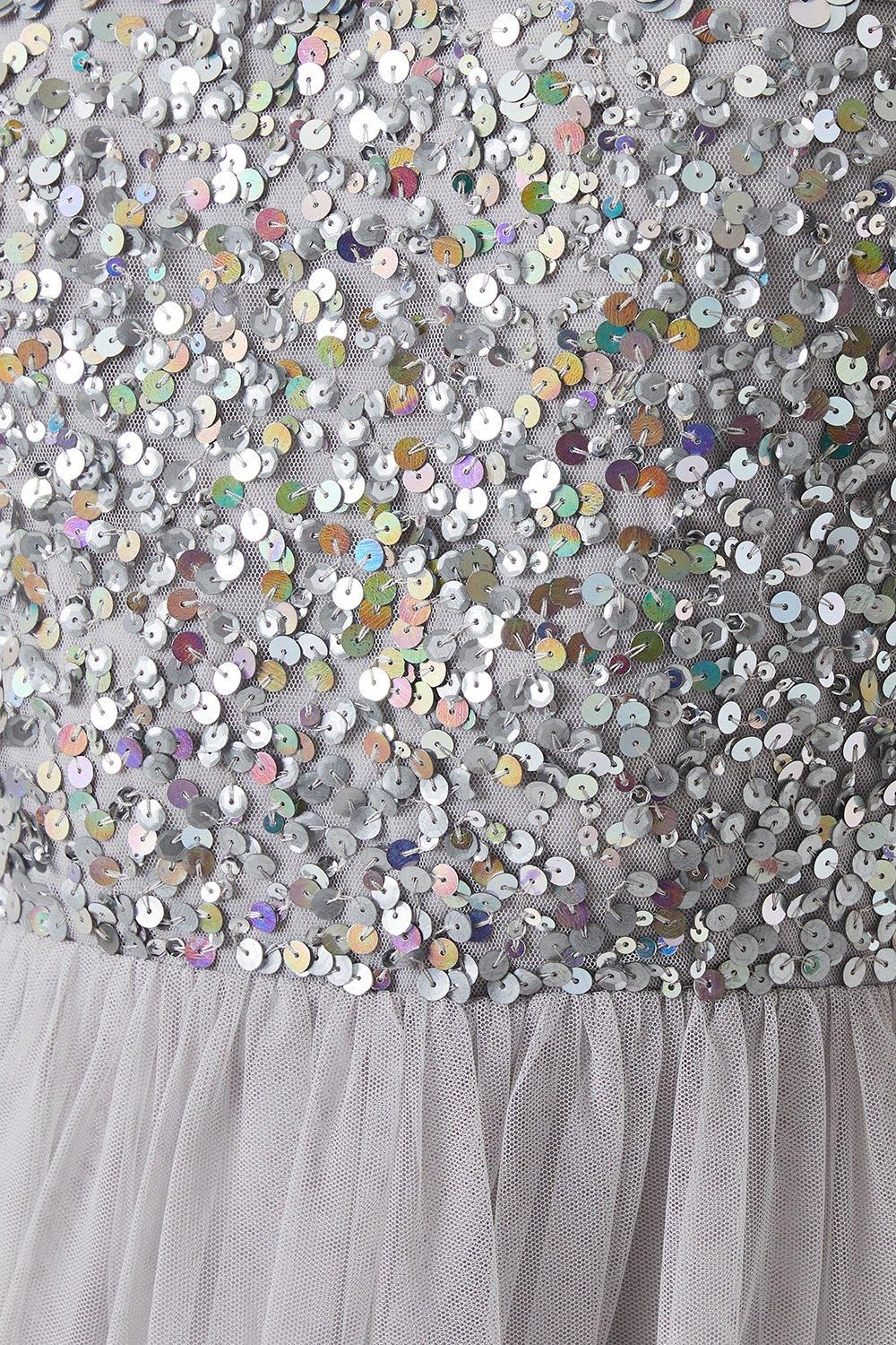 Coast 3d Floral Embellished Bridesmaid Maxi Dress Grey Mist image 5