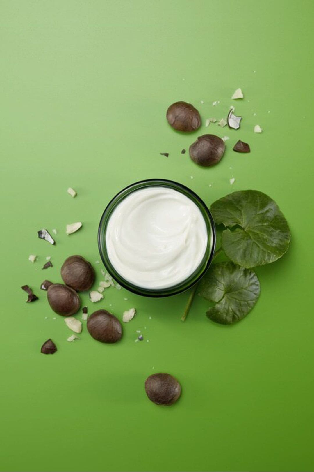 Weleda Wild Rose & White Tea Smoothing Night Cream 40ml Misc image 3