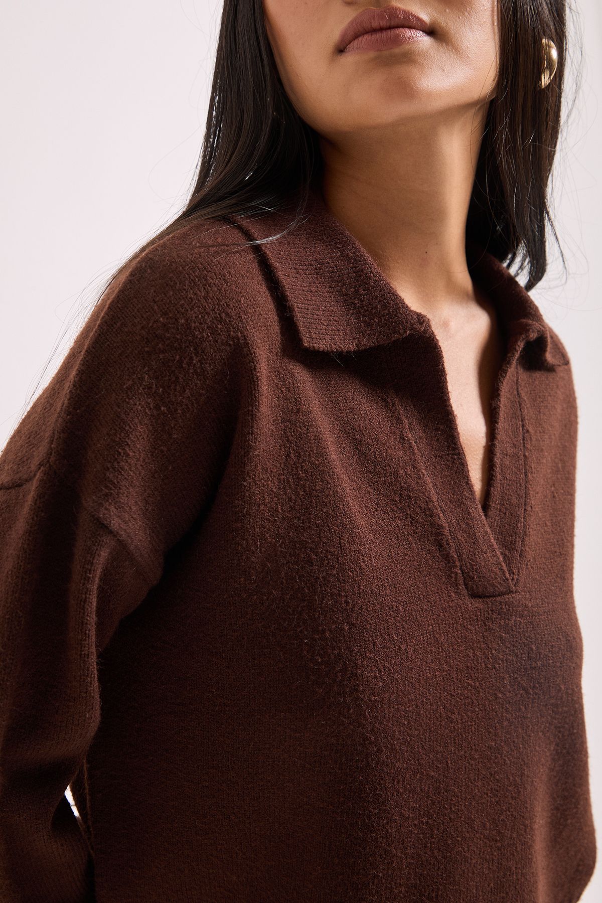 Dorothy Perkins Petite Polo Collared Jumper Chocolate image 1