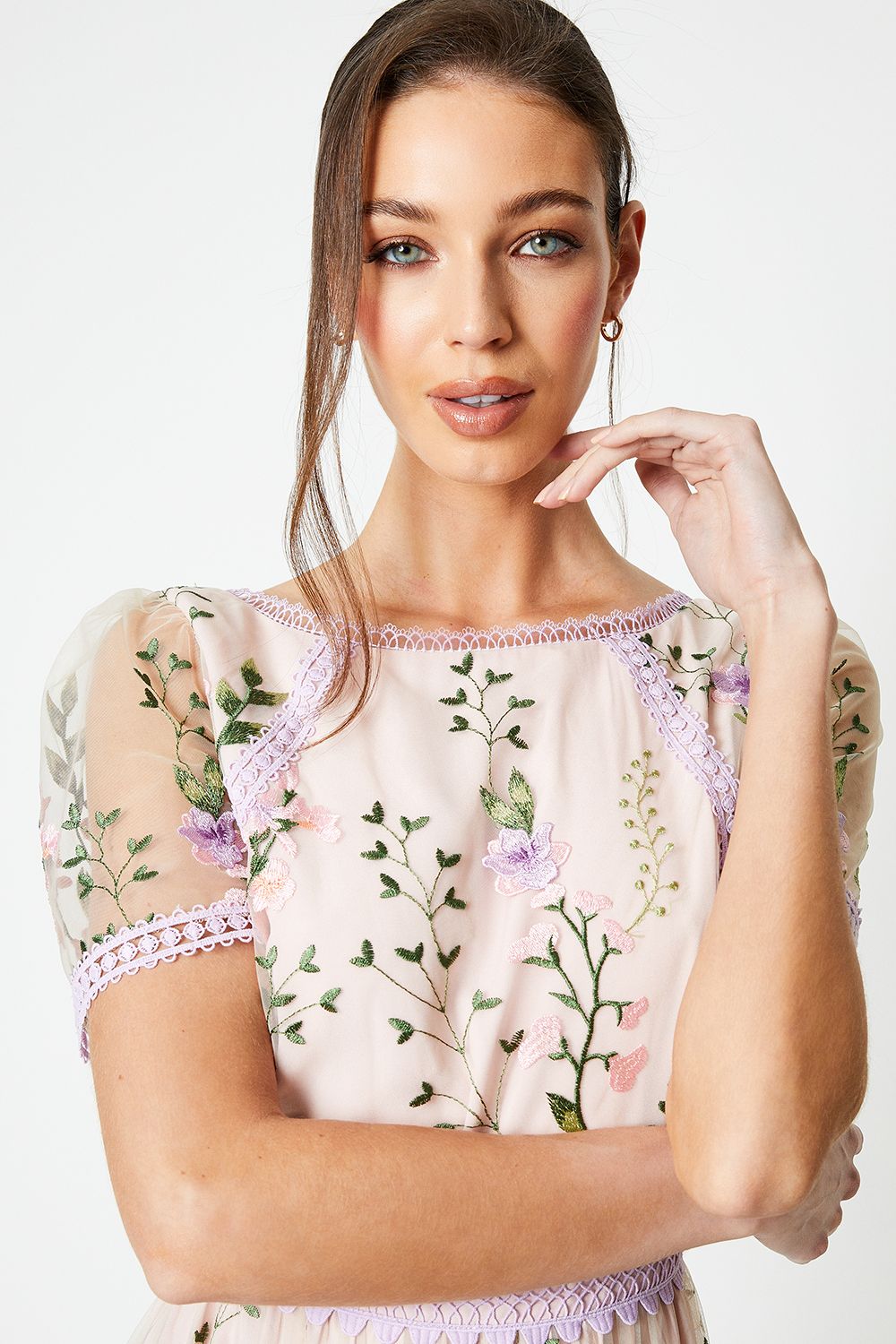 Coast Lace Trim Detail Embroidered Mesh Midi Dress Blush image 4