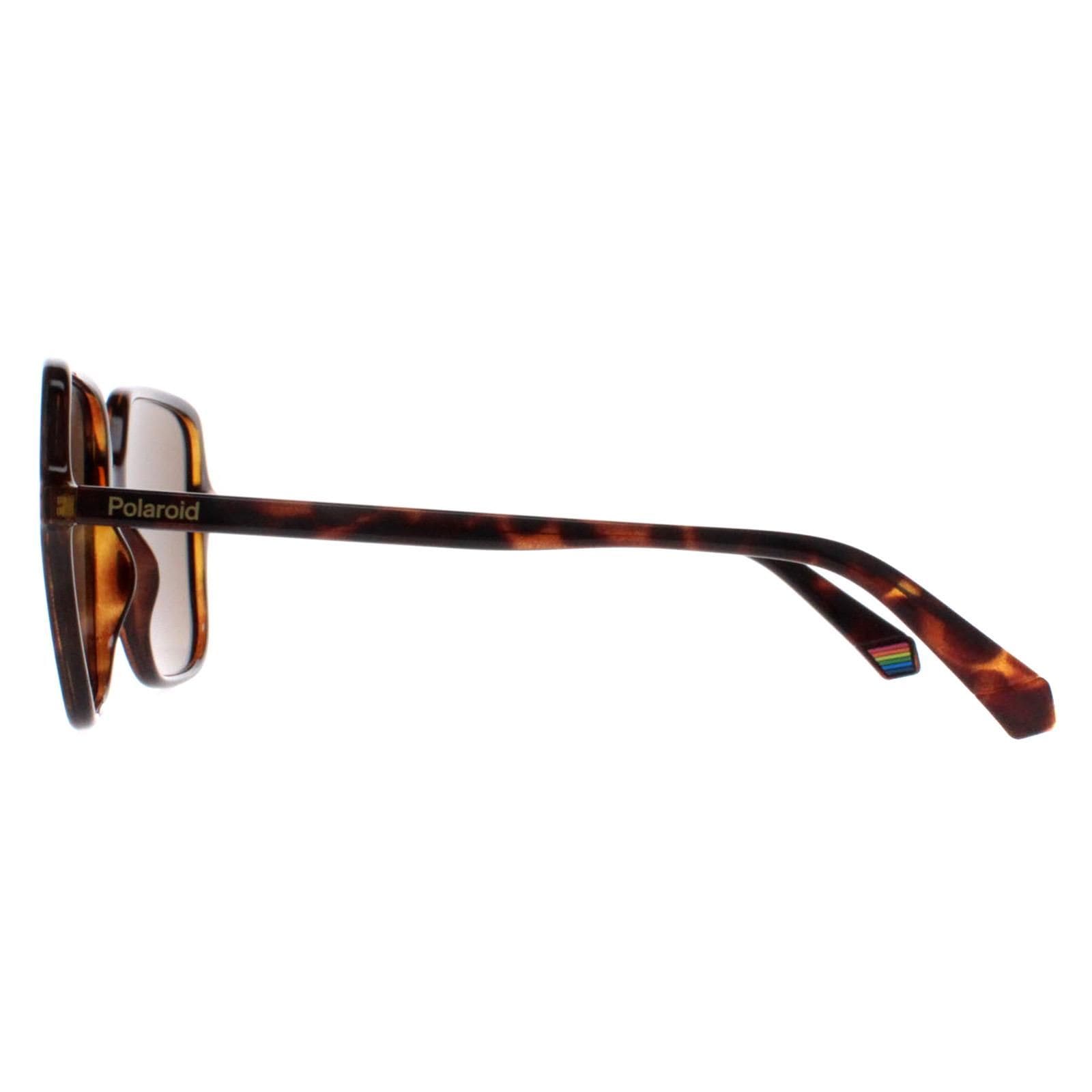 Polaroid Square Havana Bronze Polarized PLD 6219/S image 3