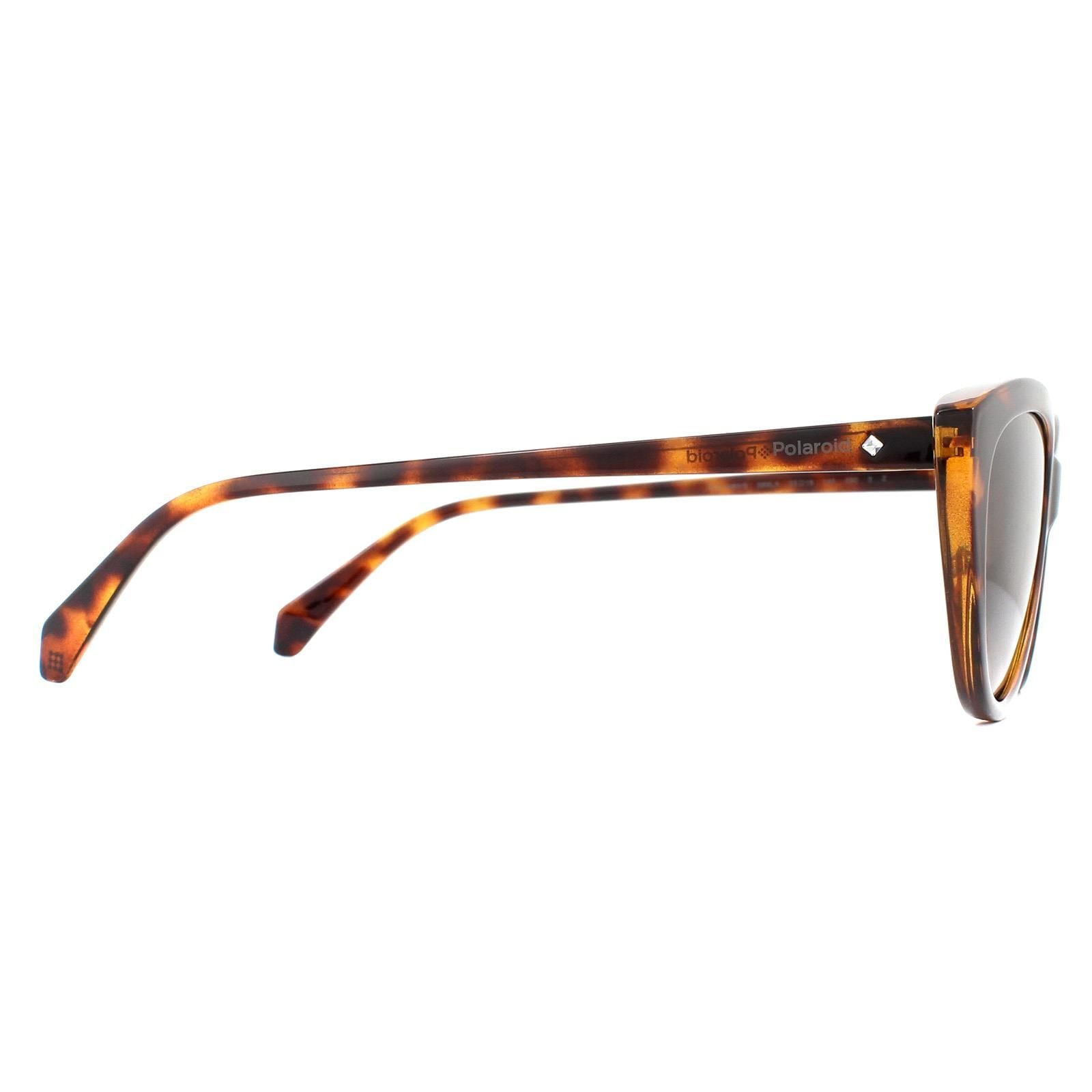 Polaroid Cat Eye Havana Brown Gradient Polarized Sunglasses image 4