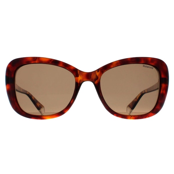 Polaroid Butterfly Havana Bronze Polarized PLD 4132/S