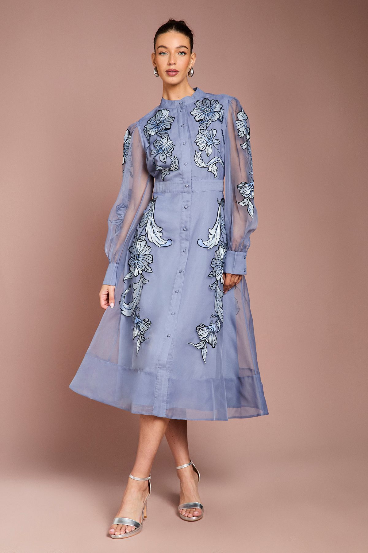 Coast Placement Embroidered Long Sleeve Midi Dress Blue