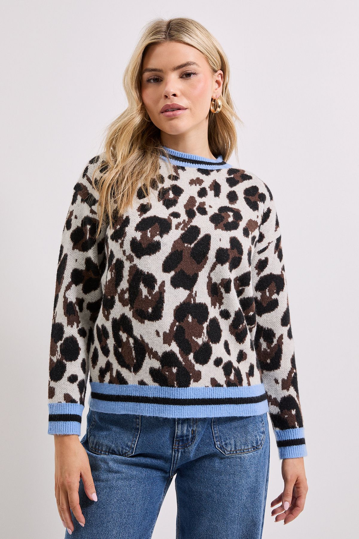 Dorothy Perkins Leopard Knitted Jumper Leopard image 1