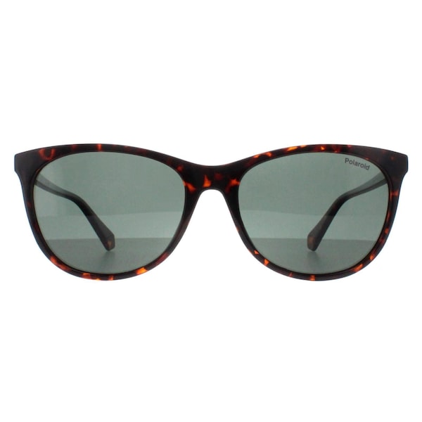 Polaroid Cat Eye Havana Green Polarized PLD 4161/S